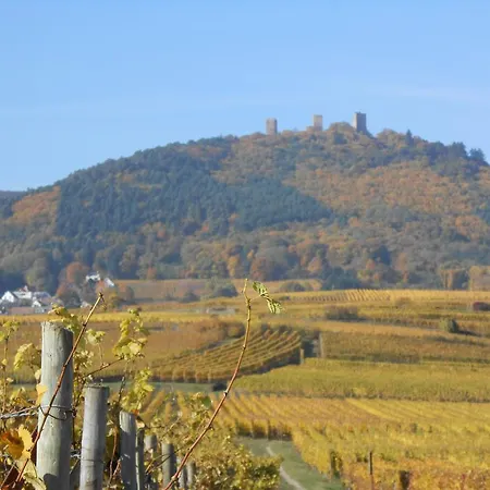Gite Le Hissala Eguisheim Exterior foto