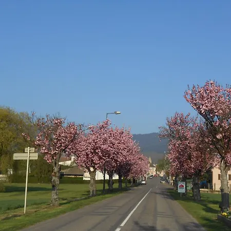 Gite Le Hissala Eguisheim Exterior foto