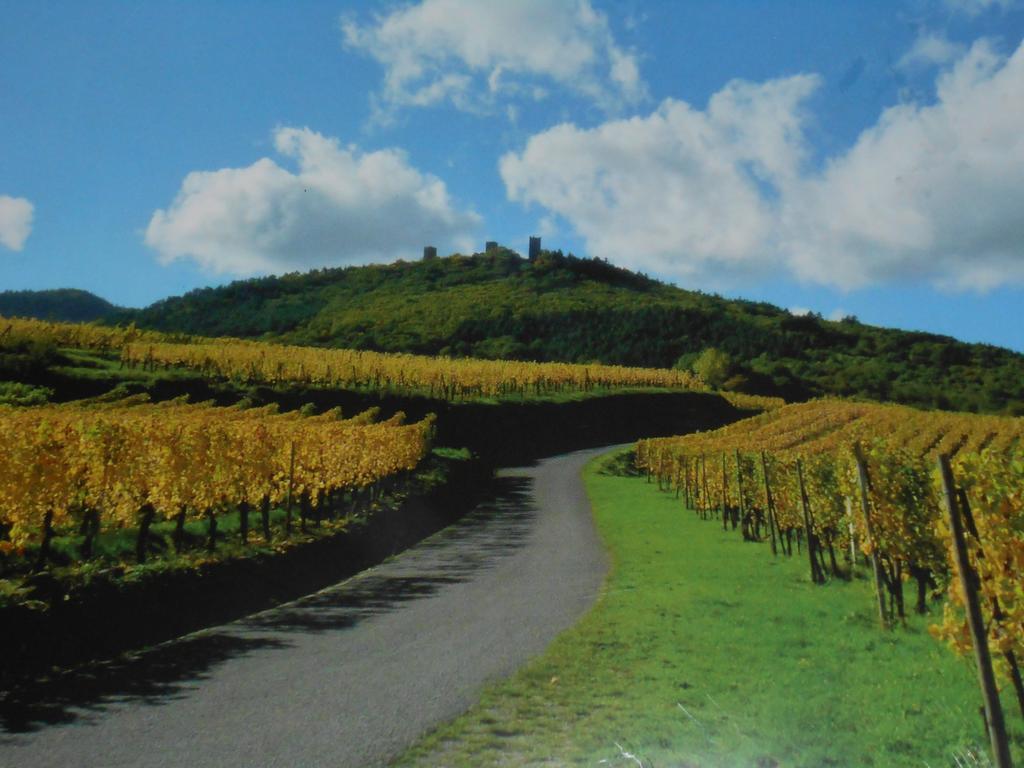 Hébergement de vacances Le Hissala Eguisheim