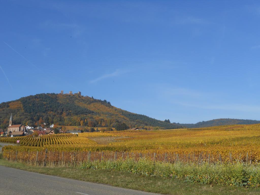 Hébergement de vacances Le Hissala Eguisheim